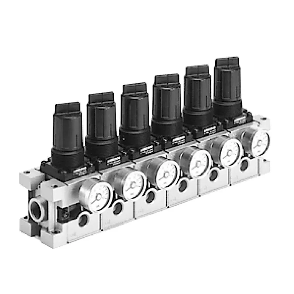 Bộ điều áp dạng manifold ARM2500-3000